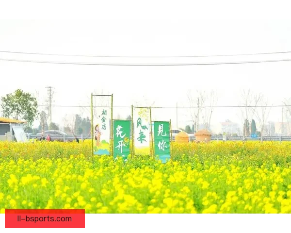 2026世界杯温哥华赛区史丹利公园盛大球迷节精彩启幕