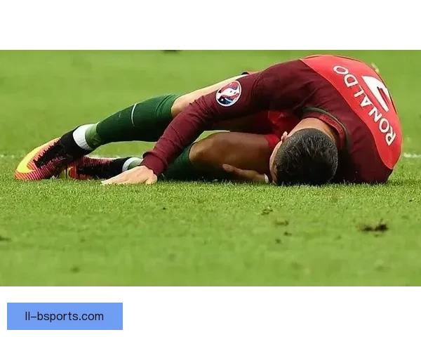 凤凰涅槃维尔茨十字韧带重伤归来夺德甲最佳欧洲杯揭幕闪电破门之路